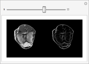 Click to play animation Click to play animation